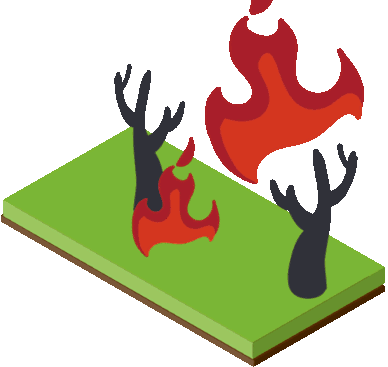 fire